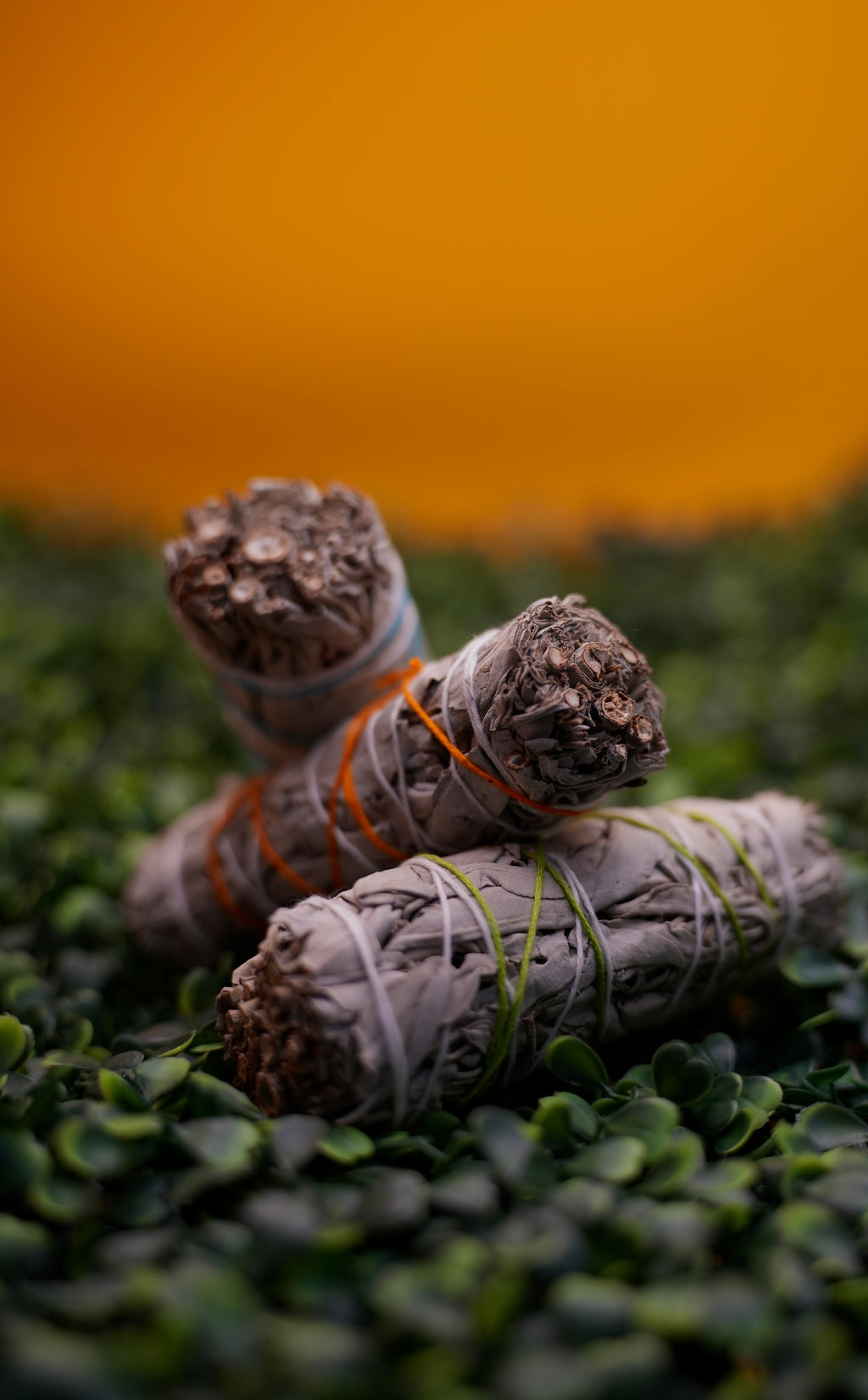 Sacred Sage - VEIH INTUITIVE