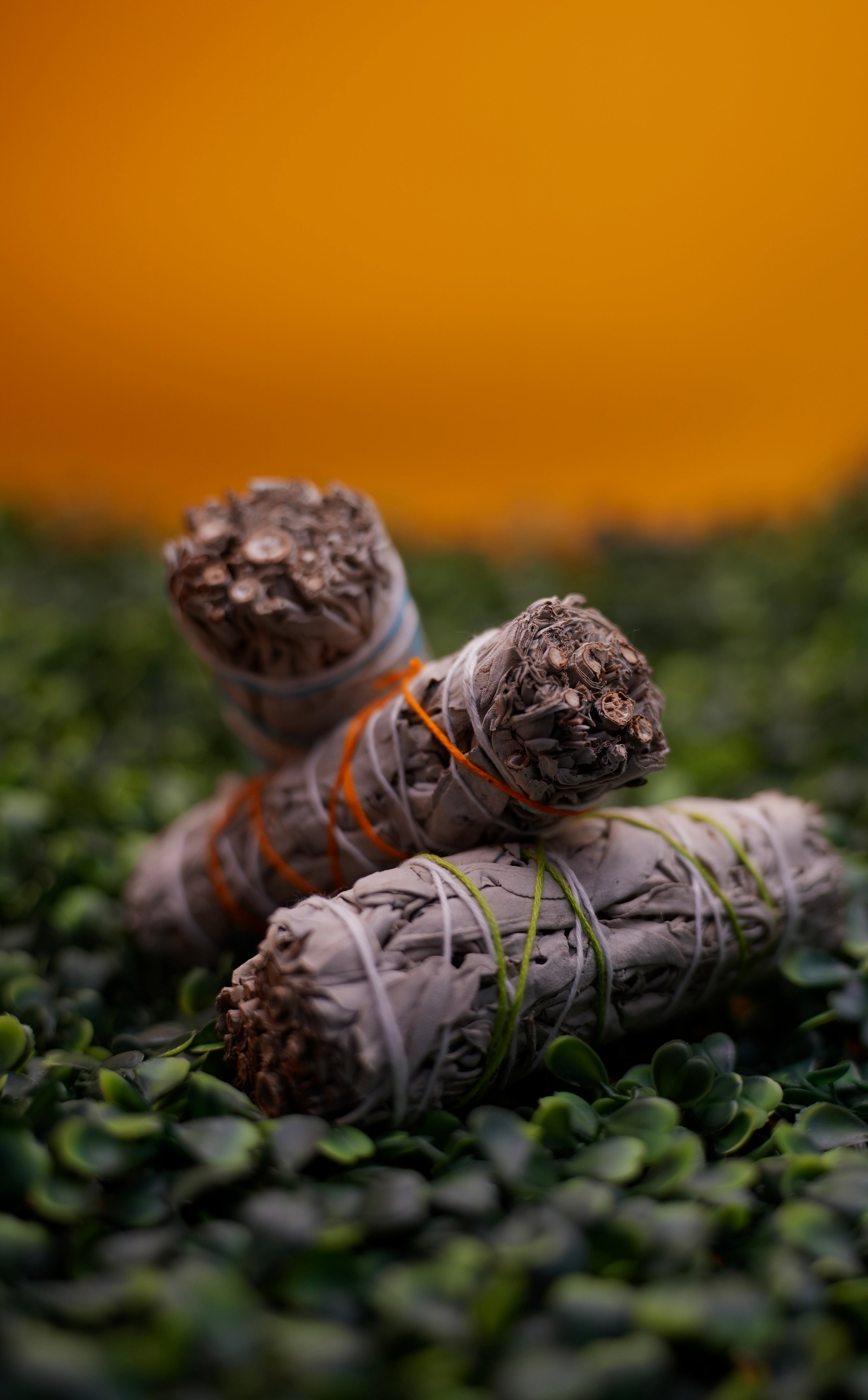 Sacred Sage - VEIH INTUITIVE