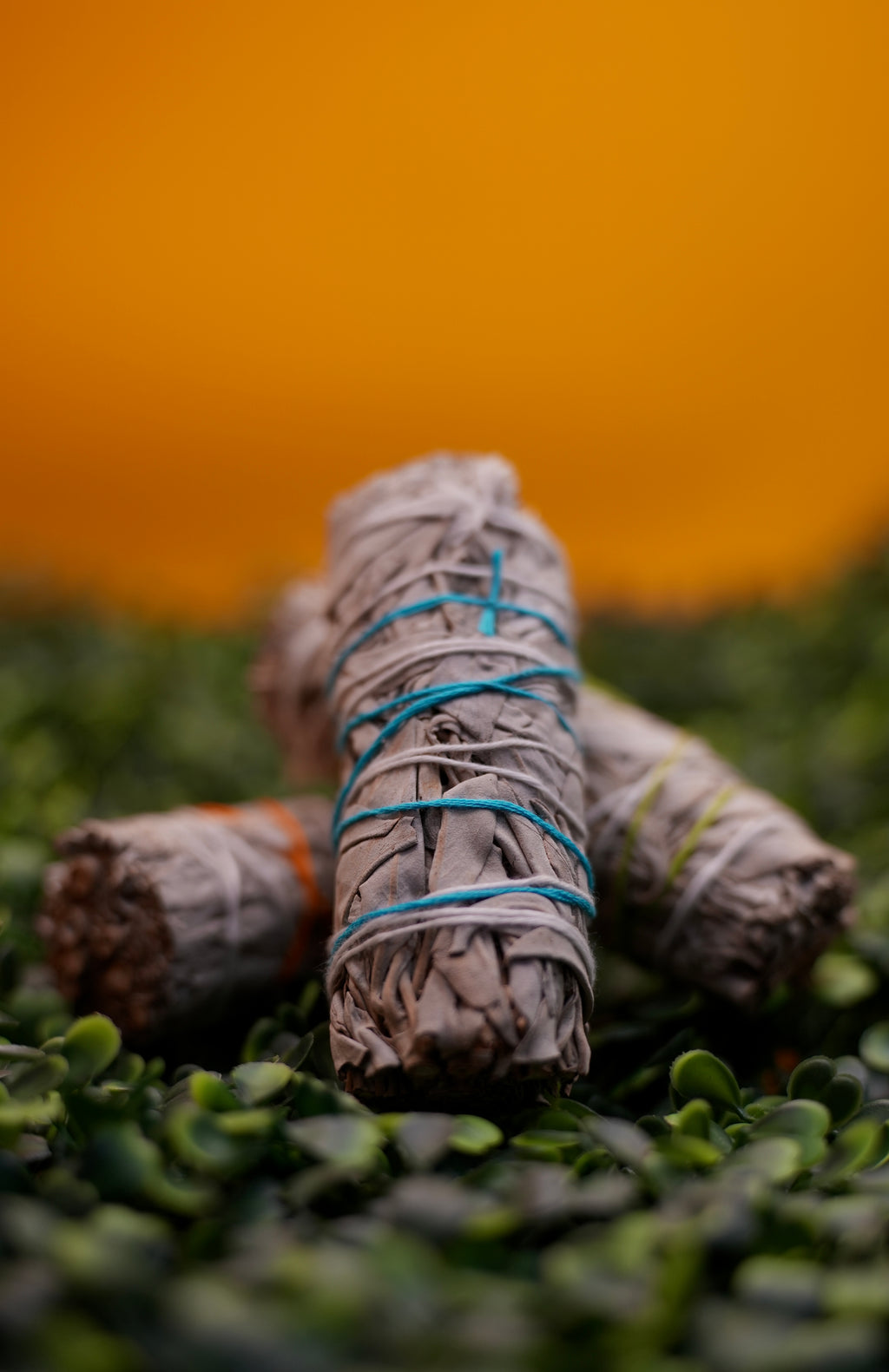 Sacred Sage - VEIH INTUITIVE