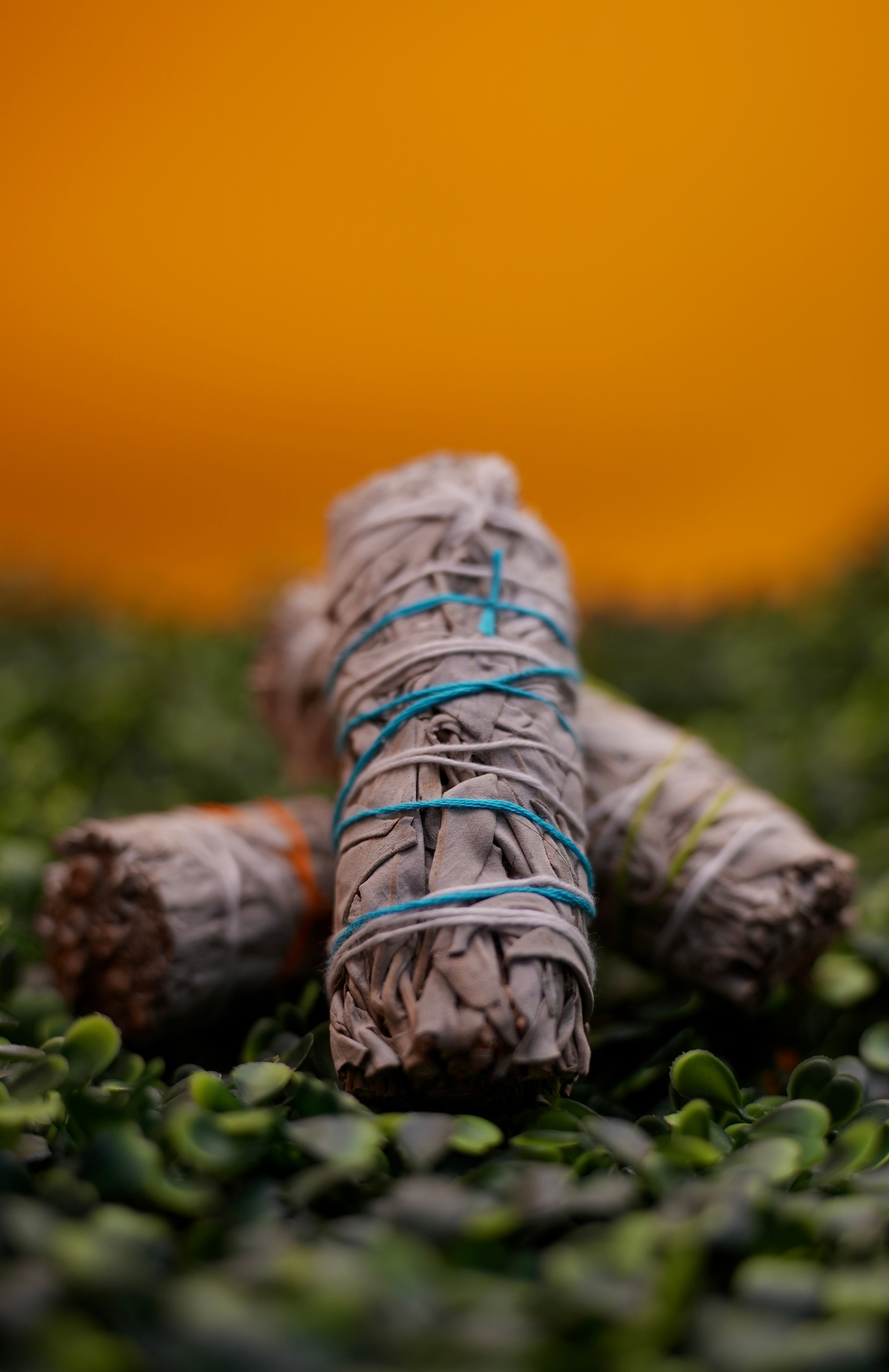 Sacred Sage - VEIH INTUITIVE