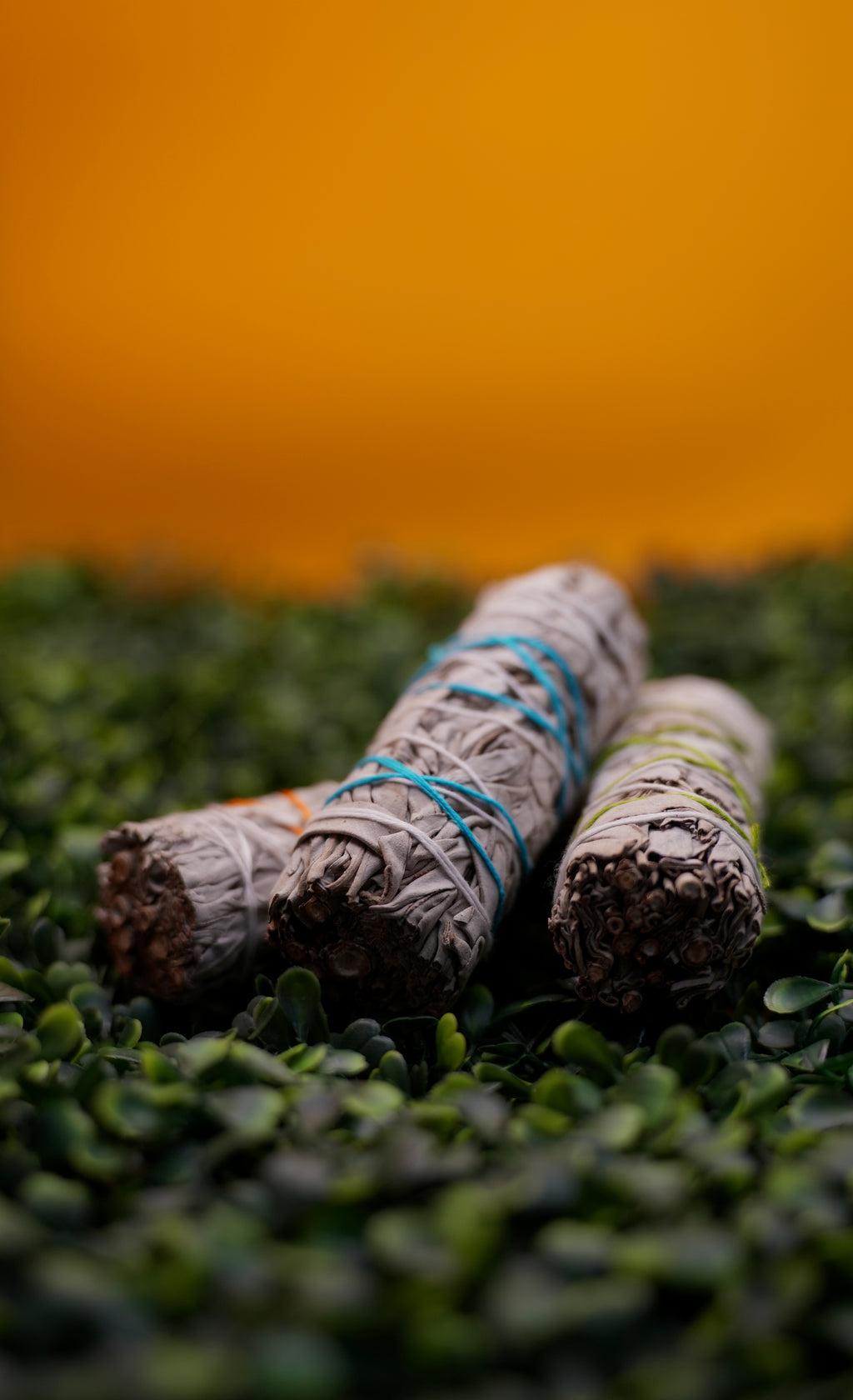 Sacred Sage - VEIH INTUITIVE